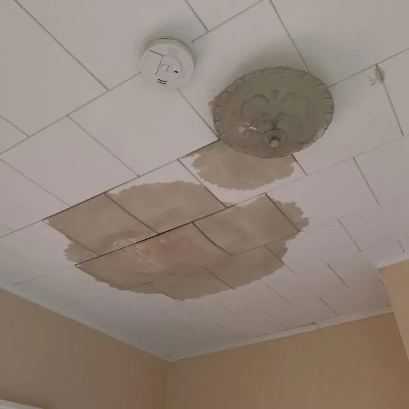 Ceiling Water Damage Repair in Central Garage, VA