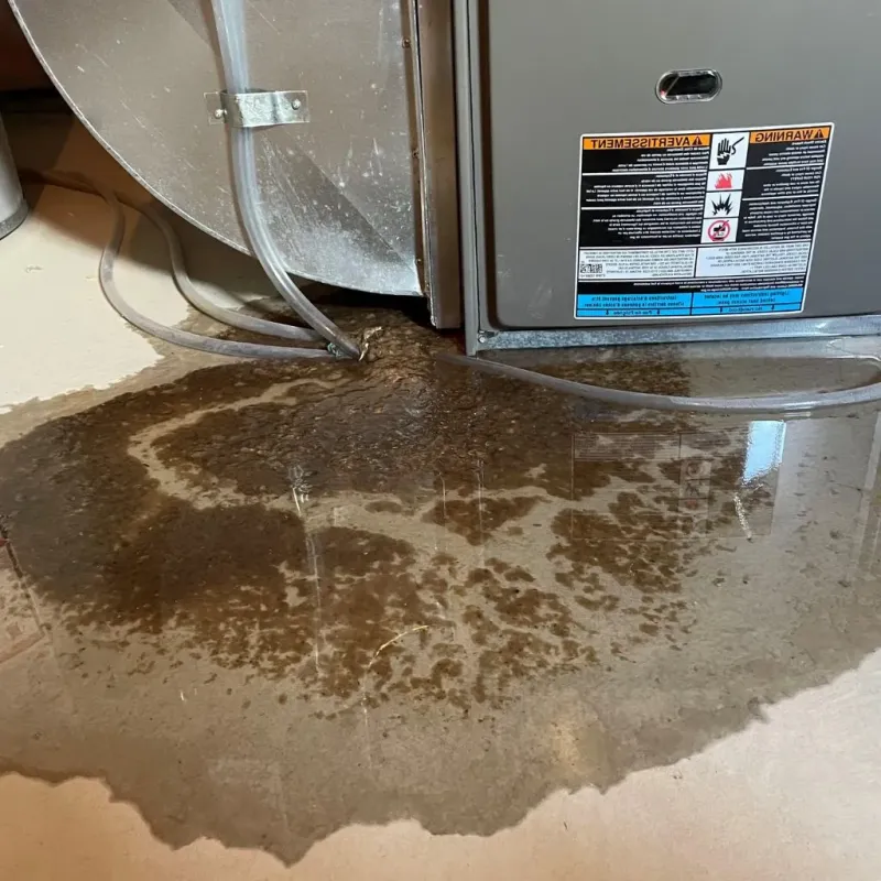 Pipe Burst and Leak Restoration in Central Garage, VA