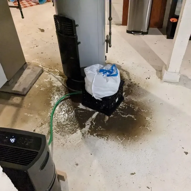 Sewage Backup Cleanup Service in Central Garage, VA